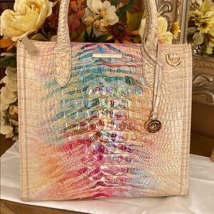 Brahmin EUC Entice Ombre